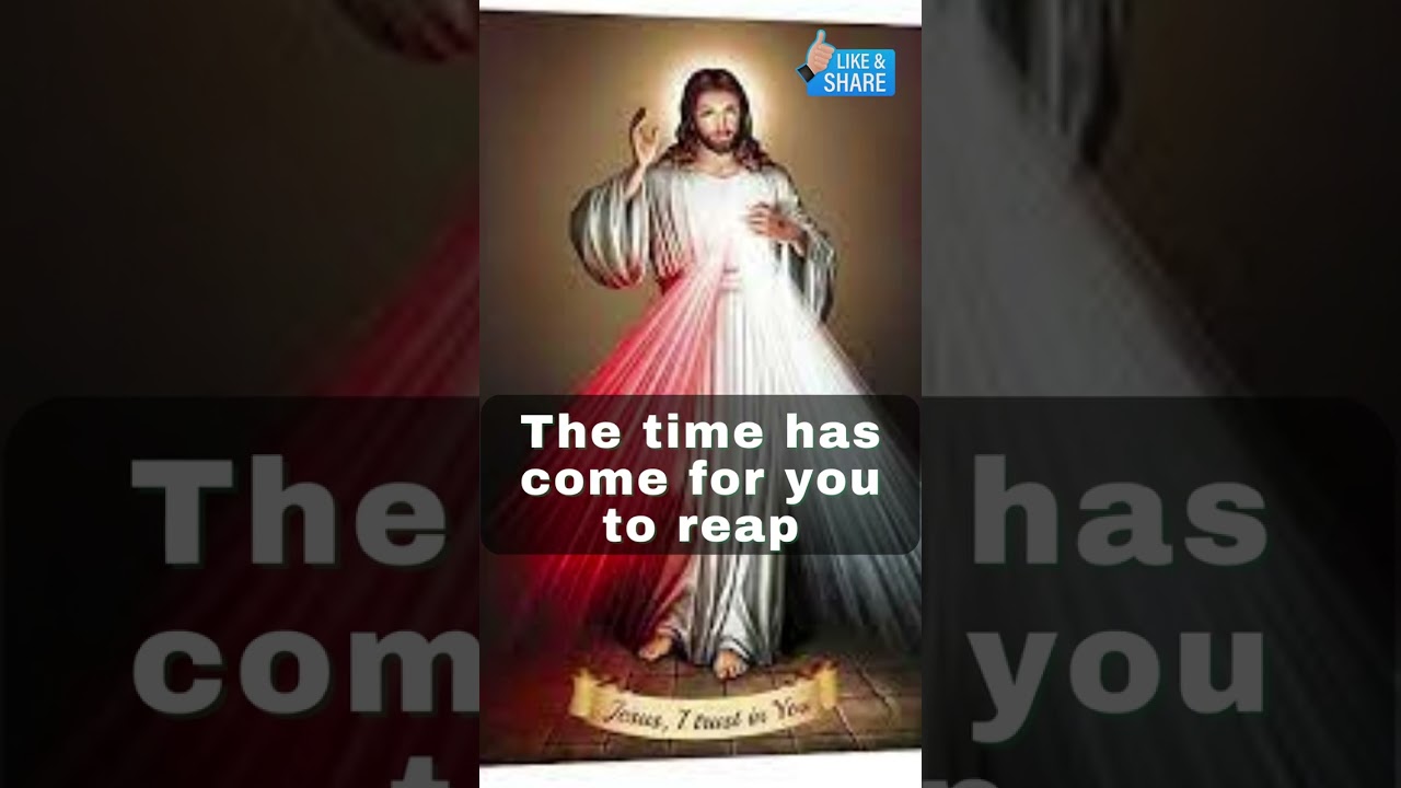 💥Jesus Christ 2023 🙏🦋 Christian Motivation 🙏 #shorts
