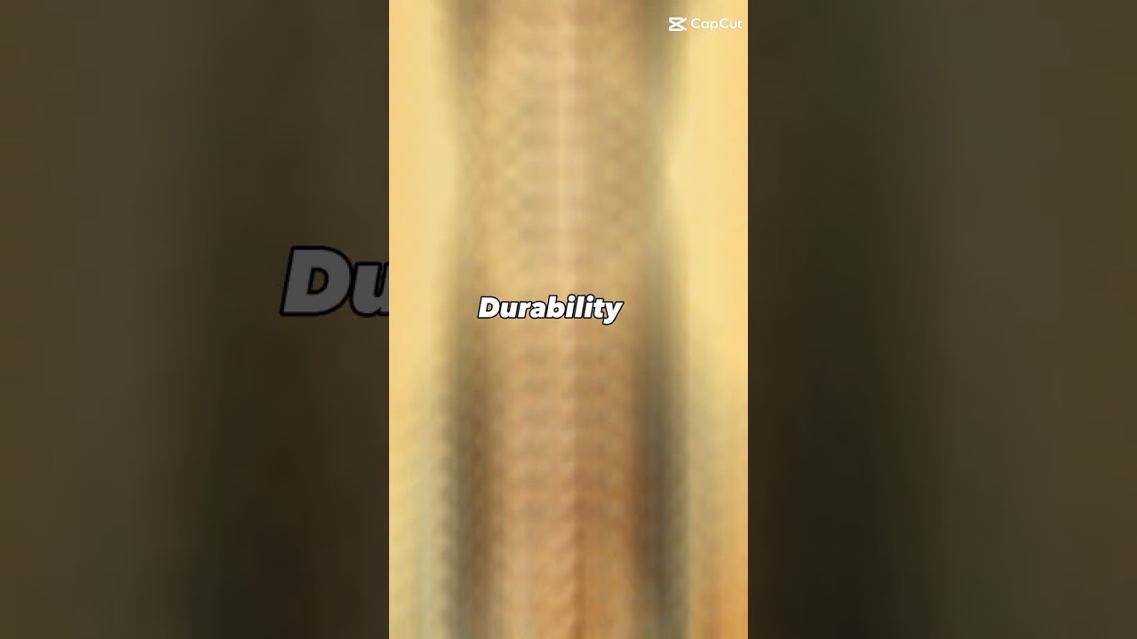 1678935564_maxresdefault.jpg