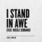 Chris Tomlin – I Stand In Awe (Audio) ft. Nicole Serrano