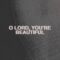 Chris Tomlin – O Lord You’re Beautiful (Lyric Video) feat. Steffany Gretzinger