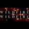 Crowder – Wildfire (Lyric Video)