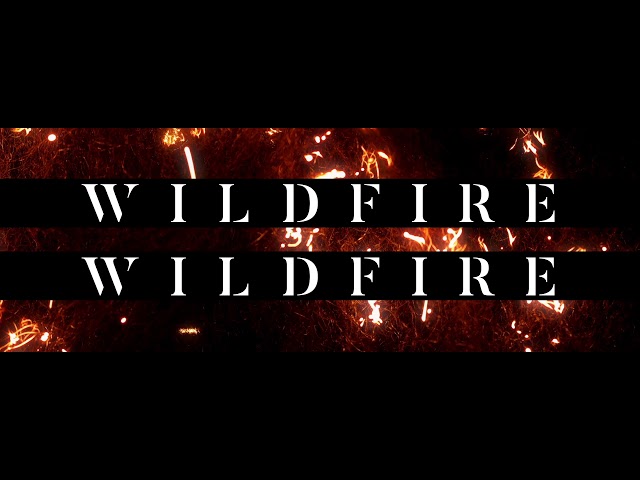 Video Image