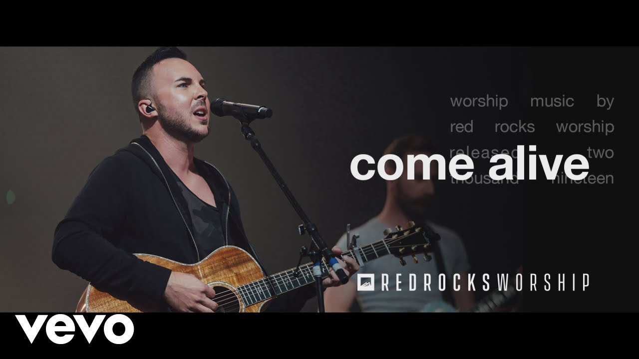 Video Image