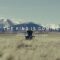 Red Rocks Worship, Tyler Roberts – The King Is Coming (Live) (Lyric Video)