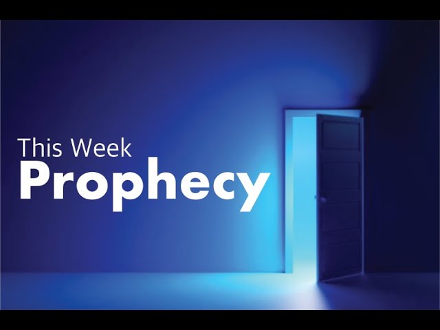 Video Image