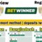 BetWinner Online Bookmaker Review and Insights