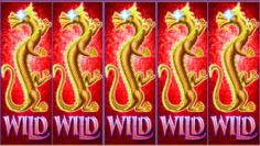 50 Gratis Slots Ohne Einzahlung BERNZEN Rechtsanwälte